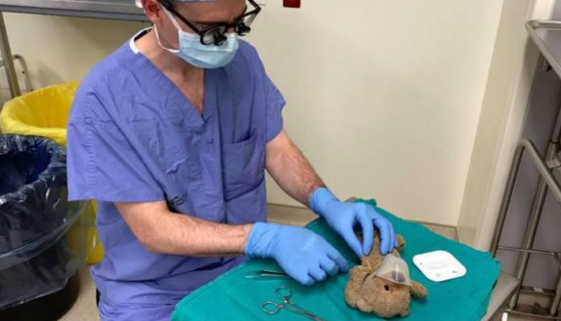 Il chirurgo opera l’orsetto del bambino che si deve operare: Me l’ha chiesto lui, come potevo dire no