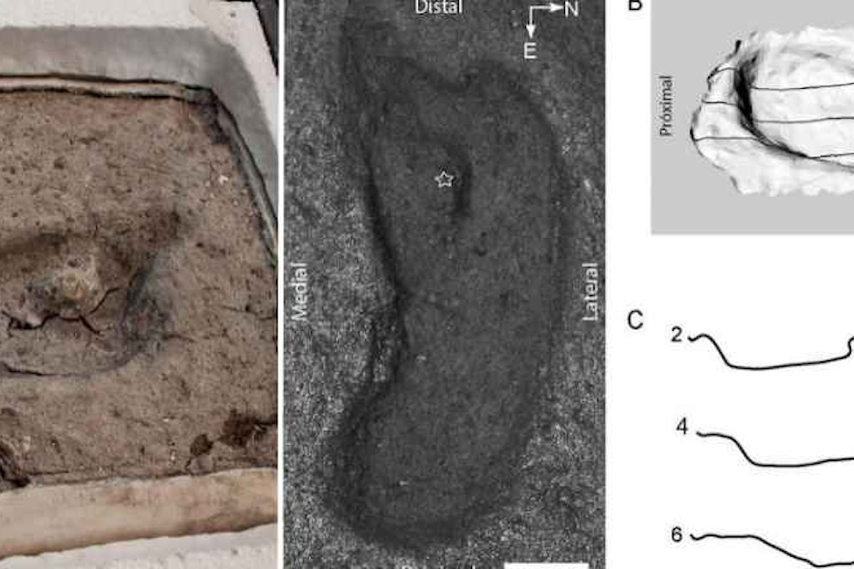 In Cile scoperta la più vecchia impronta di un piede umano delle Americhe