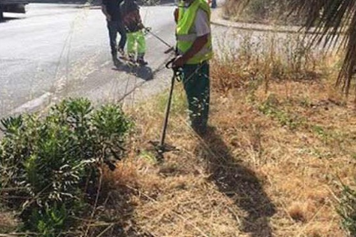 Milazzo (ME) – Ordinanza del Sindaco per pulizia fondi agricoli e prevenzione incendi