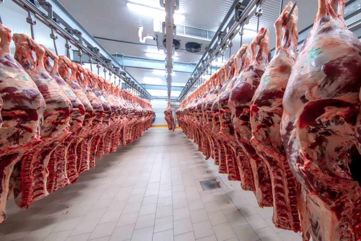 Nuovo attacco informatico in USA, stavolta a farne le spese la più grande azienda al mondo nella lavorazione della carne