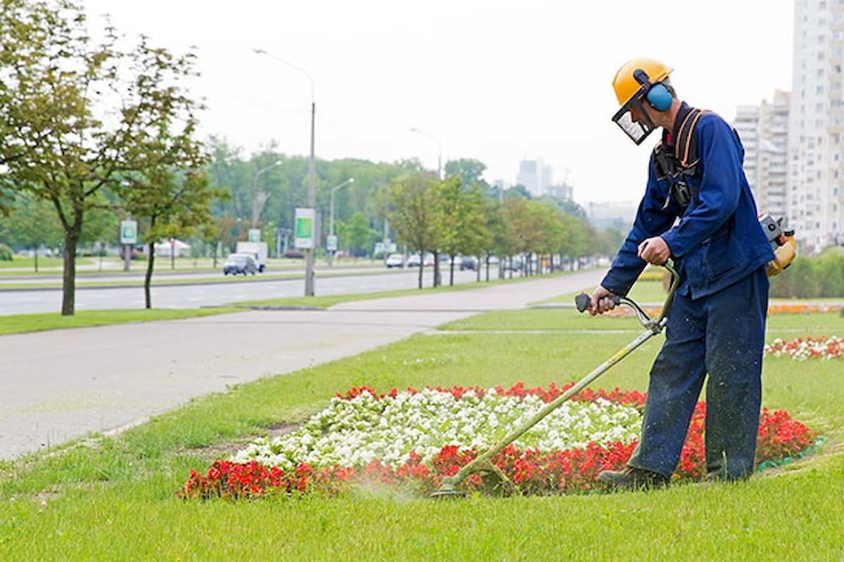 Milazzo (ME) - Annullato in autotutela il bando per assumere cinque giardinieri