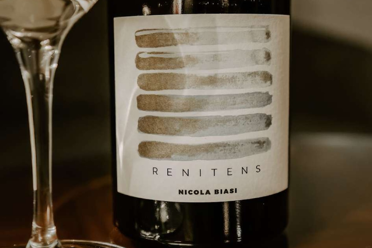 Resistenti Nicola Biasi: una nuova viticoltura per un mondo più pulito e sano