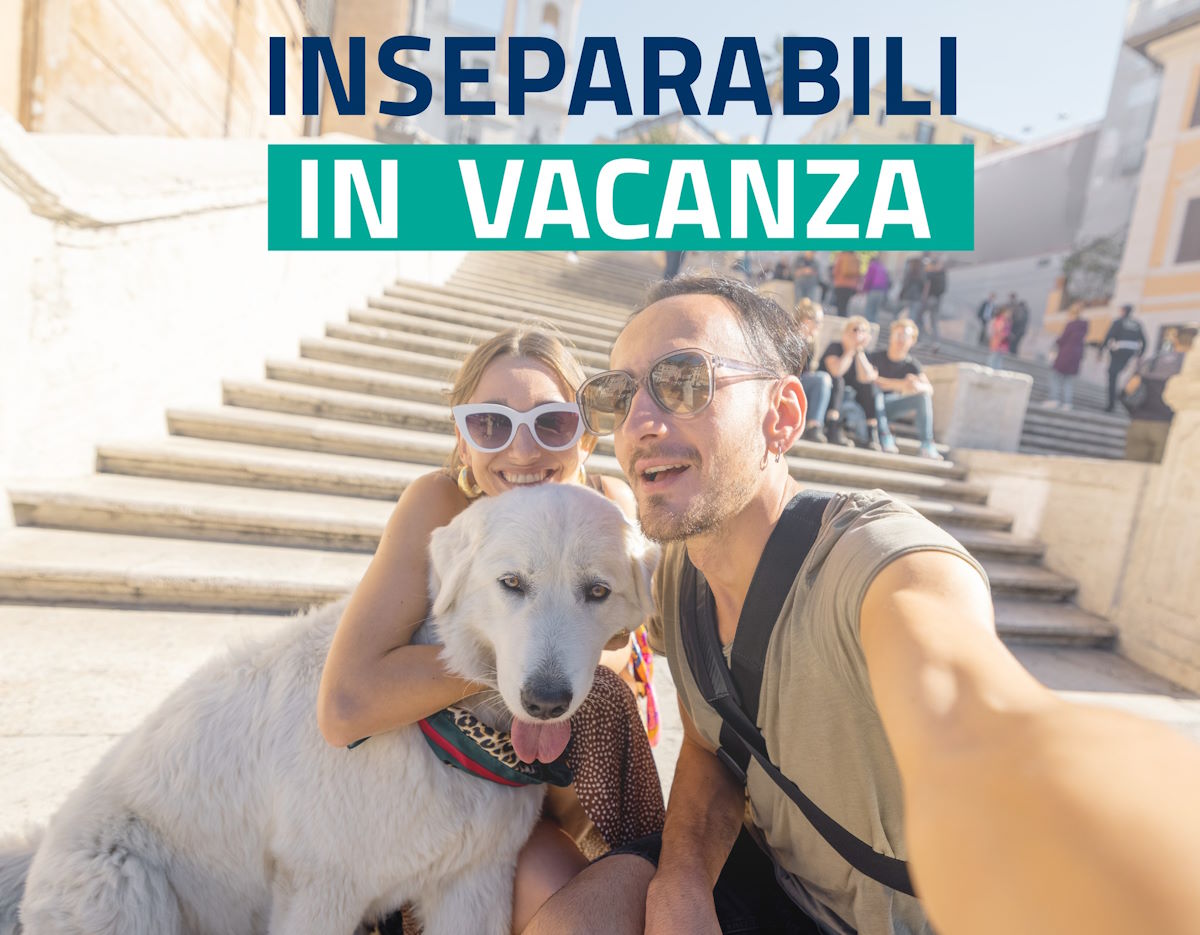 Inseparabili in vacanza, al via la campagna del ministero della Salute contro l'abbandono degli animali