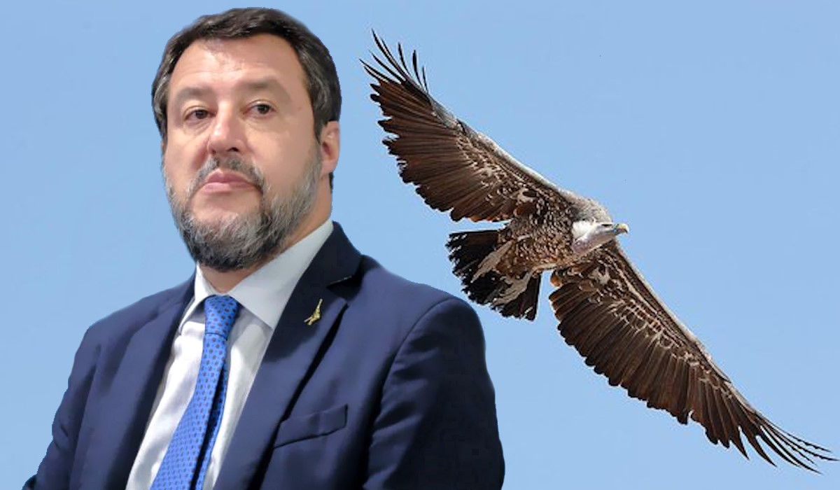 Matteo Salvini è un avvoltoio non un ministro* ma forse non è il solo
