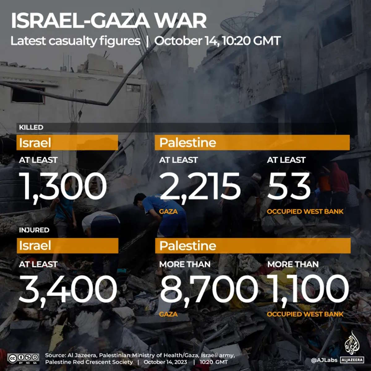 12 ong hanno lanciato un appello per evitare a Gaza una carneficina senza precedenti nel caso dell'incursione israeliana di terra