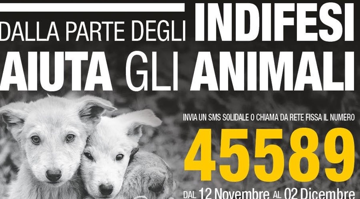 LEIDAA, fino al 2 dicembre invia un sms solidale al 45589 per salvare la vita degli animali indifesi
