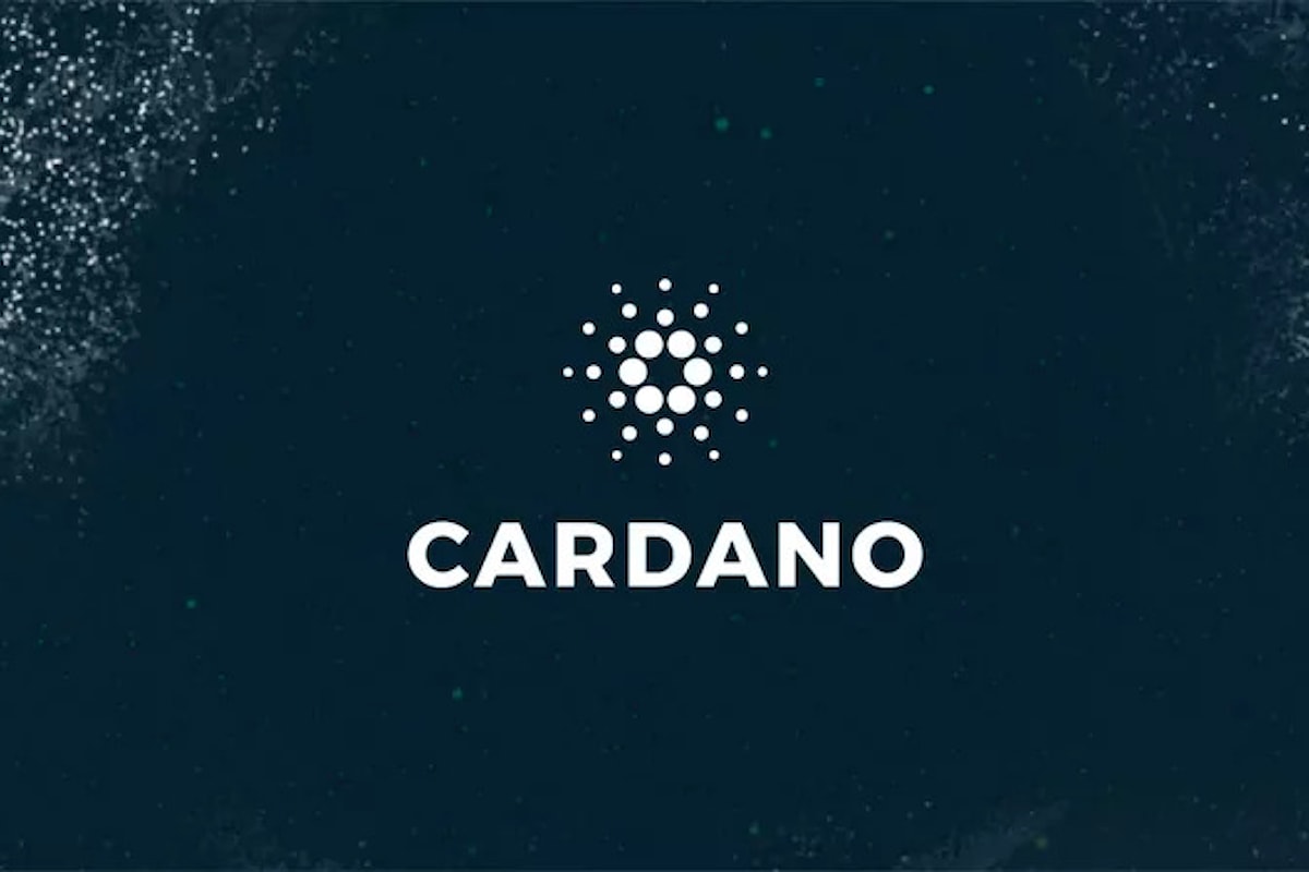 La risalita di Cardano deriva dal volume delle transazioni di whale