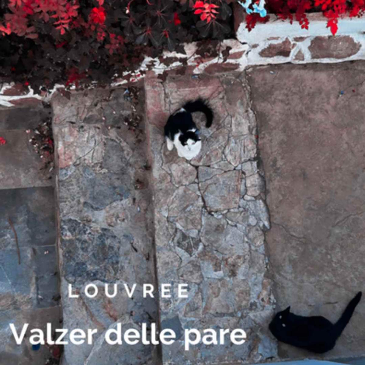 “Il Valzer delle Pare”: il debutto emozionale di Louvree con la produzione di Francesco Maria Gallo