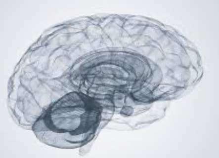 Intrappolati nel Silenzio: il Coma non è Morte ma un Dialogo Invisibile tra Coscienza e Macchine che può Svelare i Confini della Vita, della Mente e dell’Identità Umana