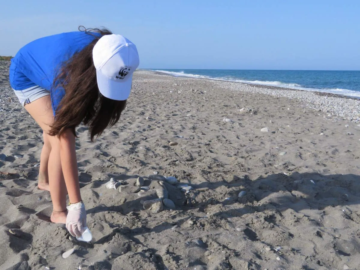 Il 16 giugno è la Giornata mondiale delle Tartarughe Marine. Il WWF festeggia 26 nidi tutelati ma ancora troppe permangono le insidie