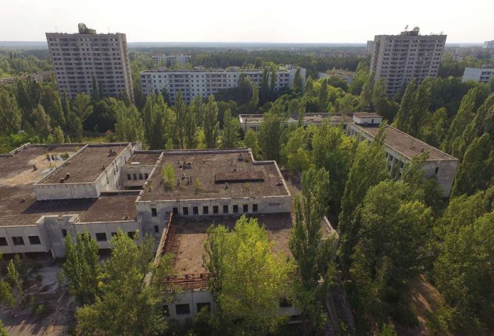 Alberi e piante di Chernobyl. Perché non muoiono di cancro? – video