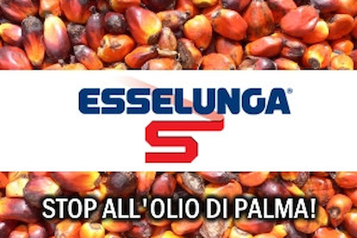 Esselunga elimina l'olio di palma da molti suoi prodotti: scoprili tutti!