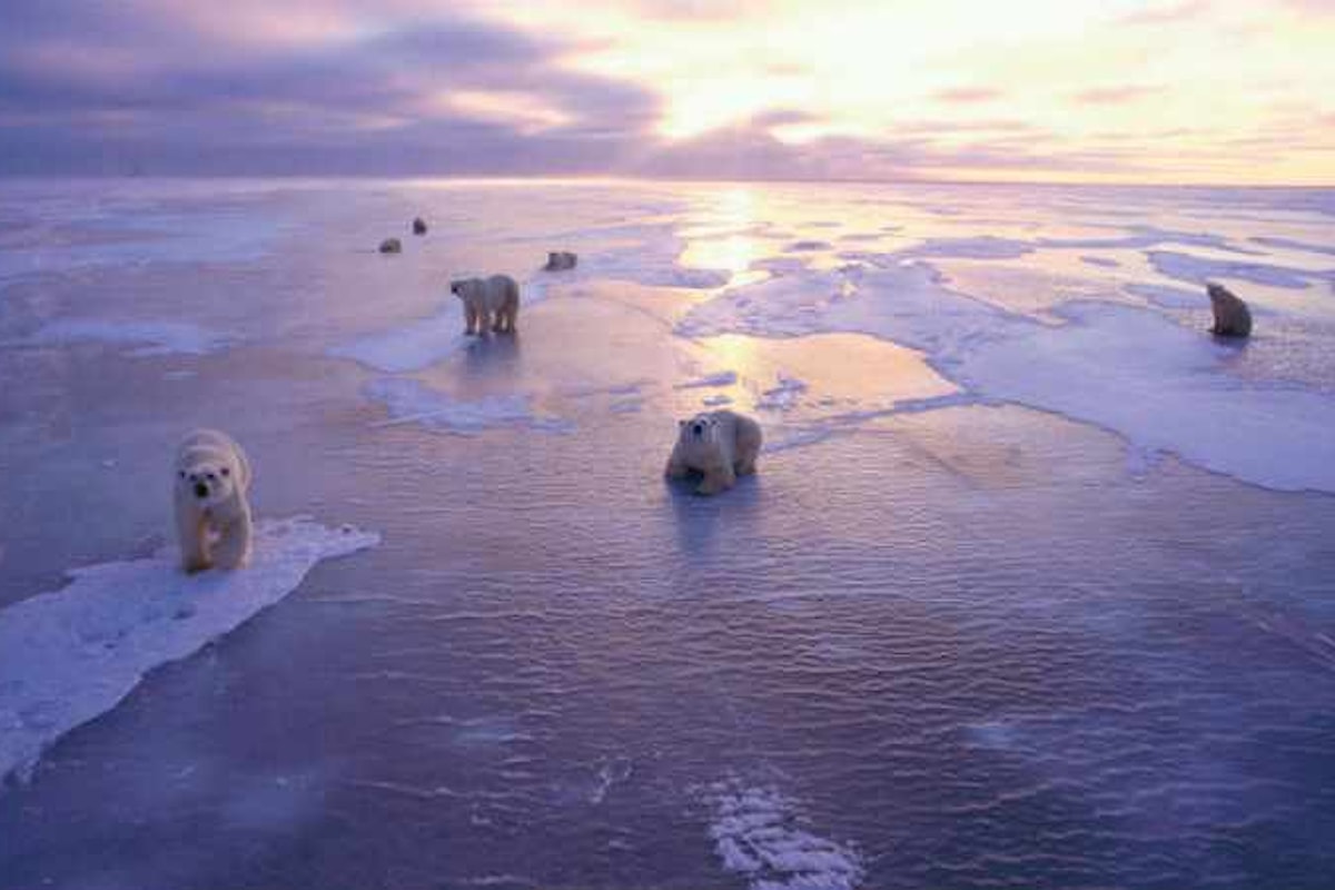 Artico: l'estensione del ghiaccio marino ai minimi storici