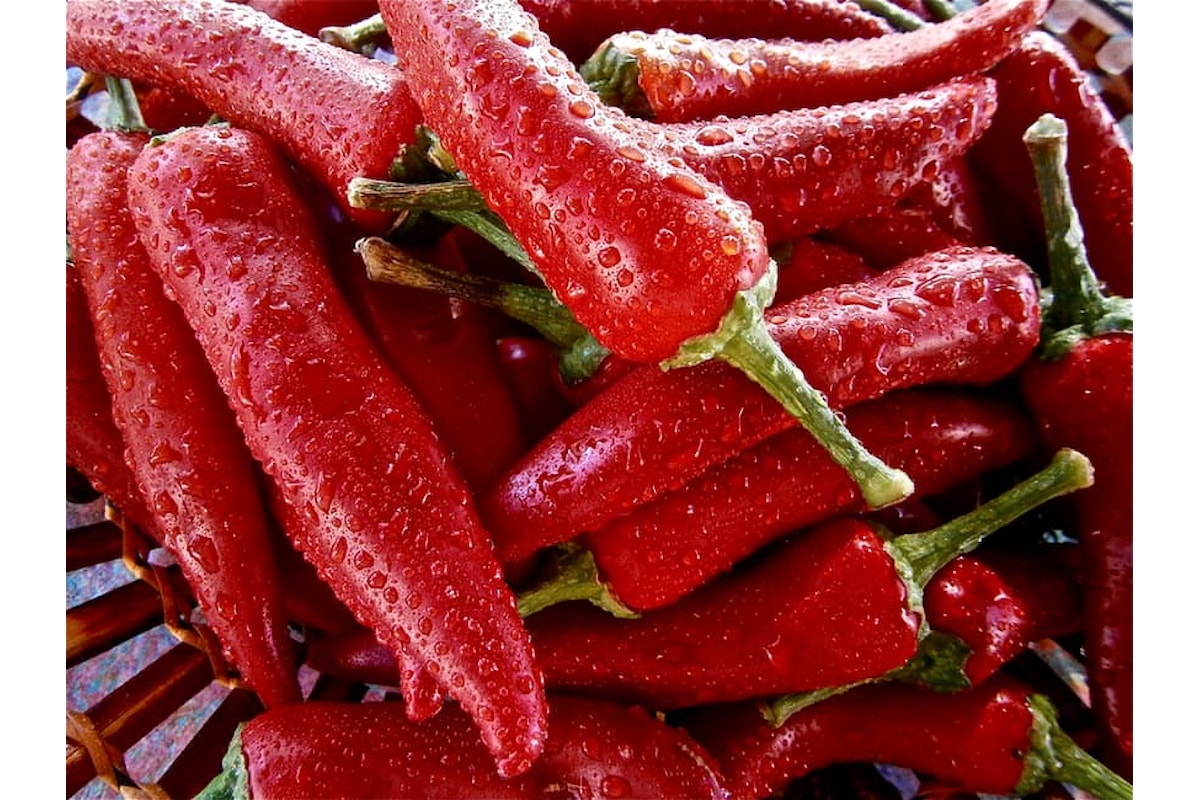 Ricette light: menta e peperoncino per stuzzicare i nostri palati!