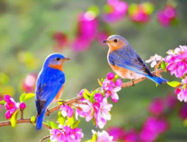 Equinozio di Primavera