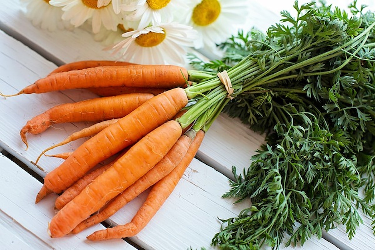Il succo crudo di carota, un vero e proprio miracolo dei nostri tempi