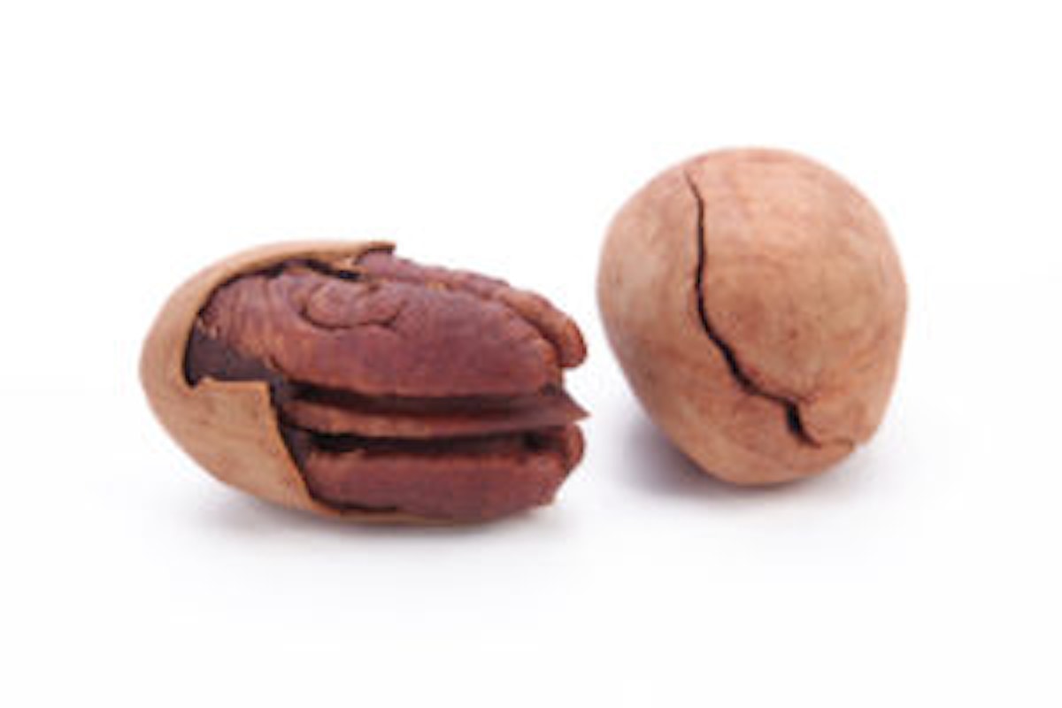 Noci pecan proprietà e benefici