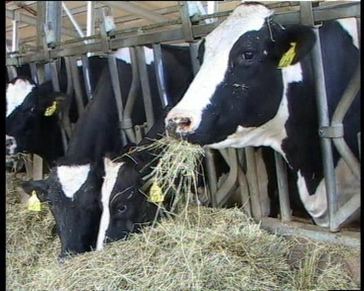 Marco Carra: in Regione Lombardia approvata la mia legge sull'agricoltura sociale