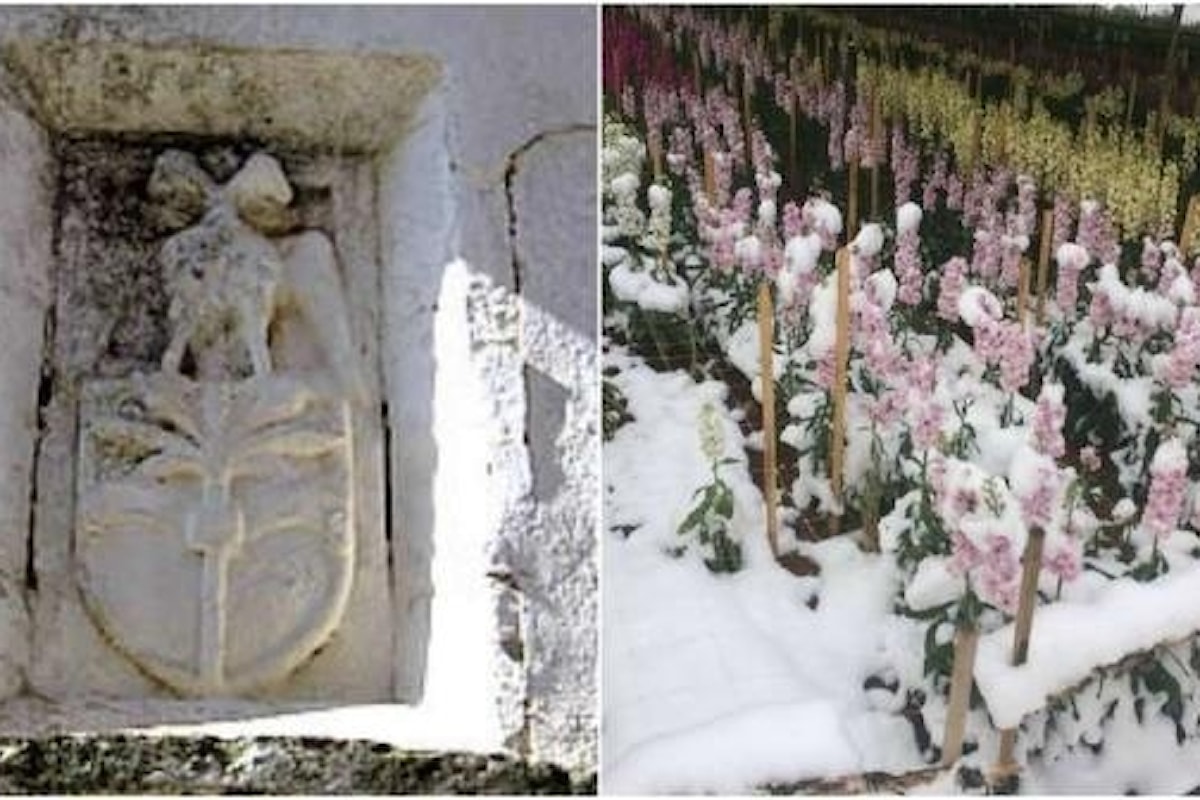 Neve anomala in Puglia: secondo antica profezia annuncia fine del Mondo, ecco quale