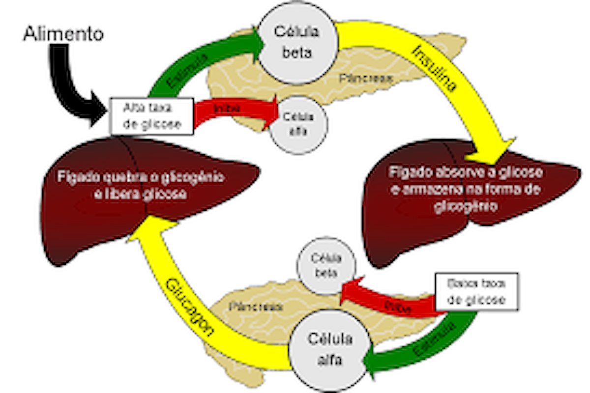 Come tenere sotto controllo la glicemia in modo naturale