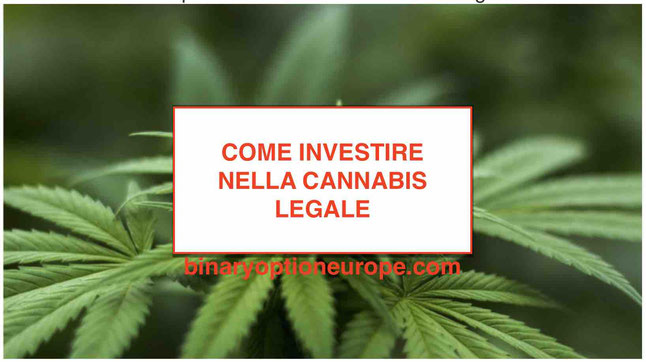 Sai come investire nella Cannabis legale? Credi che siano soldi facili? Scopri chi ci guadagna